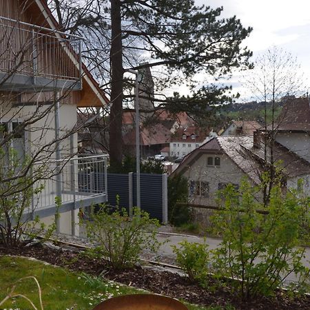 OberguenzburgBeim Bergschreinerアパートメント エクステリア 写真